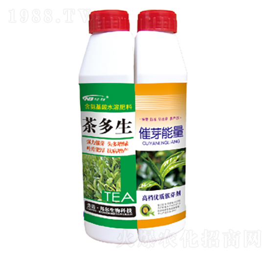 ����S+��ѿ����-������