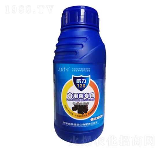 ʳ�þ�����-����120-���_(t��i)