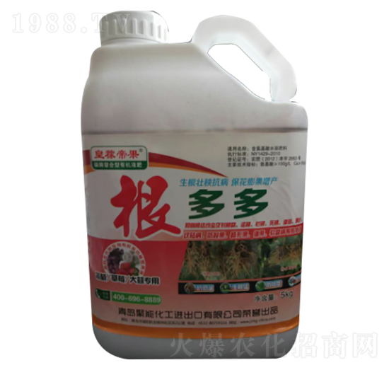 �����-�ʼڵ۹�-����