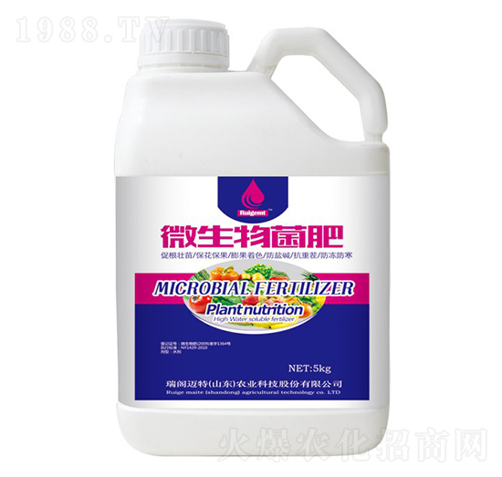 ΢�������-���w�~��