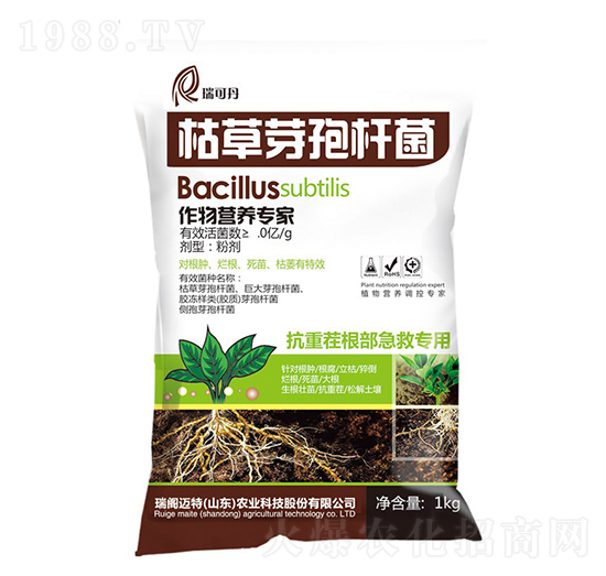 �ݲ�ѿ�ߗU��-��ɵ�-���w�~��