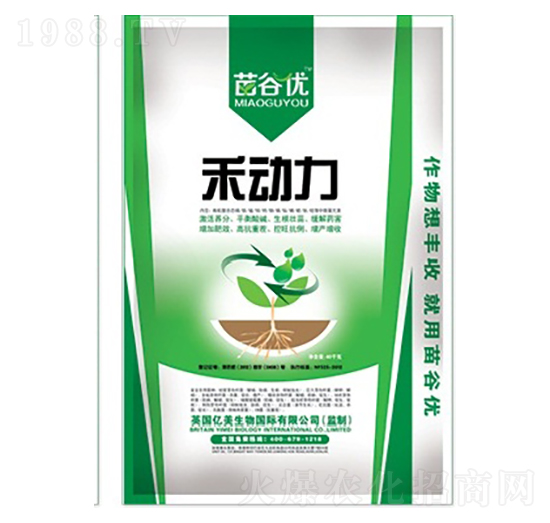 �̄���-�|������