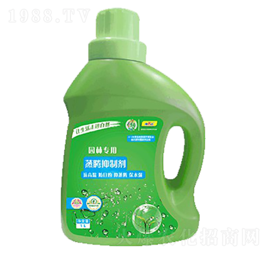 ���v���Ƅ�-��������