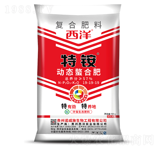 �ӑB(t��i)���Ϗ�(f��)�Ϸ���19-19-19-���@-����(sh��)�I(y��)