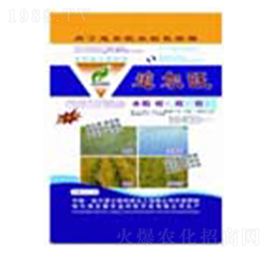 ׷����-ʿ�ֿƼ�