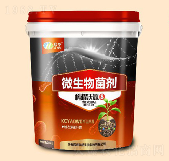 ΢���������Ͱ��-�r(n��ng)(li��n)�r(n��ng)�I(y��)