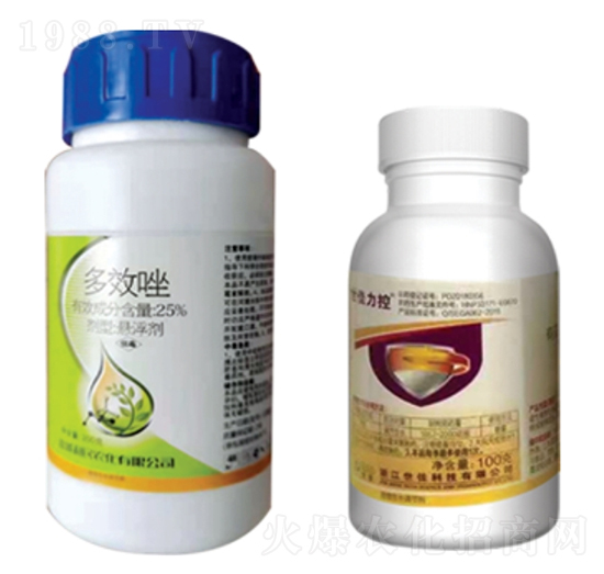 25%��Ч��-�W(li��n)���_(d��)