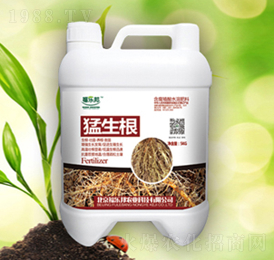 ������-����(l��)��