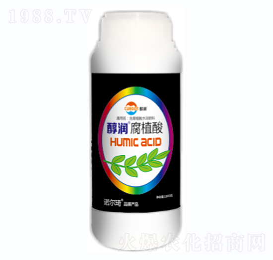 ����(r��n)����ֲ��-�Z����