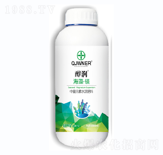 ���塤�V-�Z����