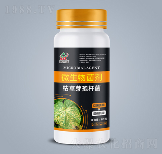 ΢�������-�ݲ�ѿ�ߗU��-������