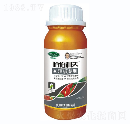 ��������-��������