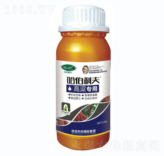 ������(zhu��n)��-��������