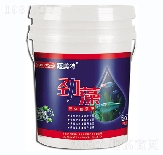 Һ�w�~���-����-������