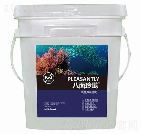 �����ᭇ-������