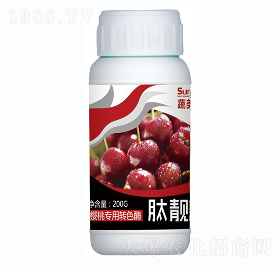 ���Ҍ�(zhu��n)���D(zhu��n)ɫø-���n��-������