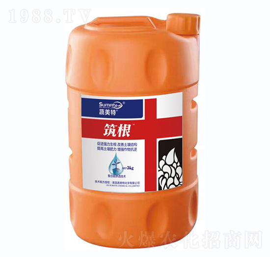 ����-������