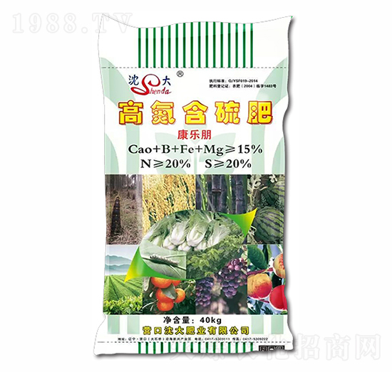 �ߵ������-������-���ʘI(y��)