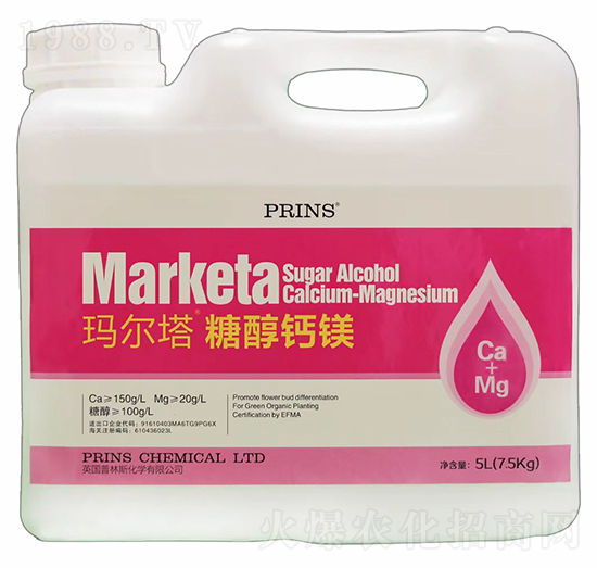 �������Ǵ��}�V-Ӣ������˹