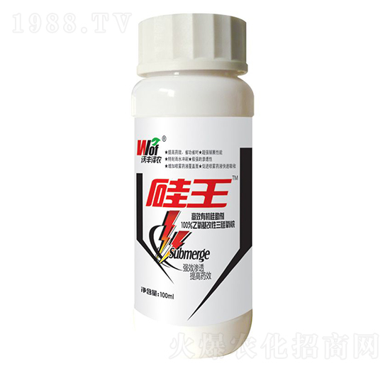 ����-���S���r(n��ng)-���S����