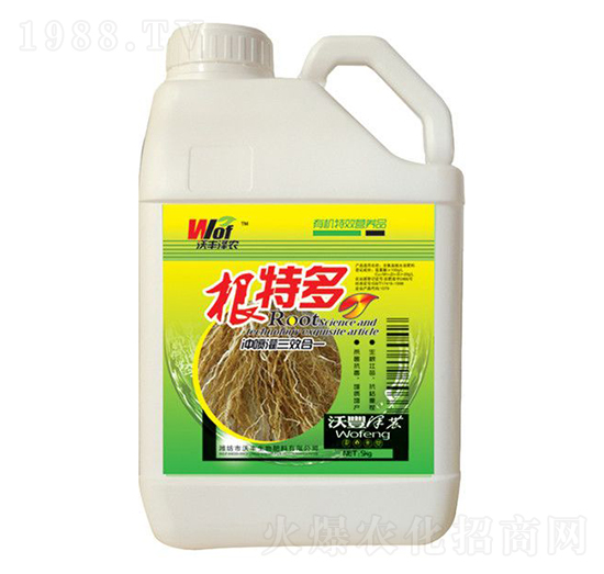 ���ض�-���S���r-���S����