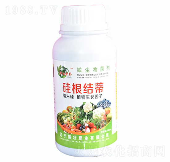 ����Y(ji��)��-ʩ�ѷʘI(y��)