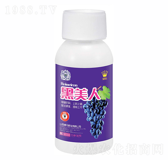 ������-�{�R�ʘI(y��)