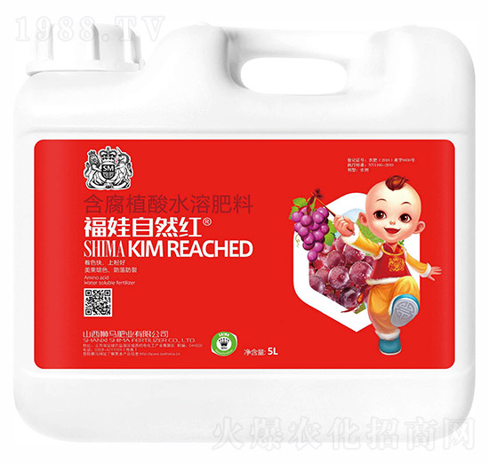 ������Ȼ�t5kg-�{�R�ʘI(y��)