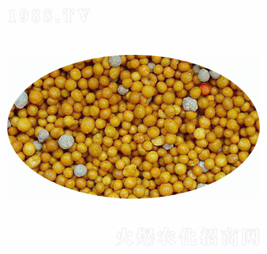 ��(sh��)֬����-�����r(n��ng)�I(y��)