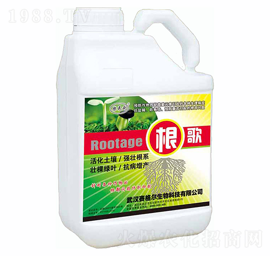 ����-ِ��