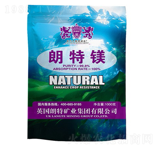 �����V-Ӣ����