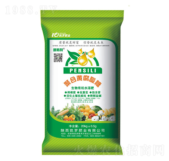 �ۺ��S������-�P�_�ʘI(y��)