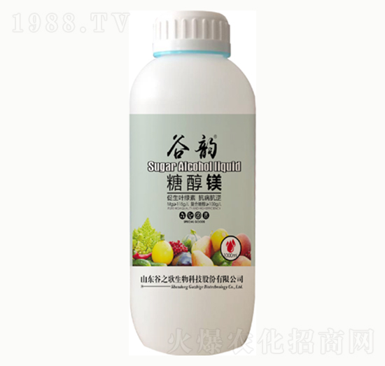 �Ǵ��V-���-��֮��