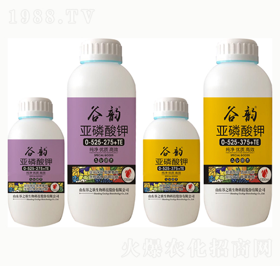 �������0-525-275+TE-���-��֮��