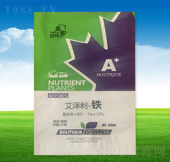 �������F-�μѸ�