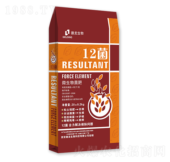 12��΢�������-��������