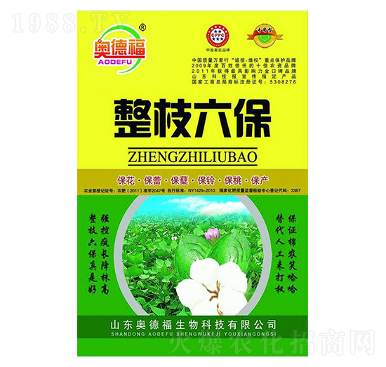 ��֦����-�W�¸�