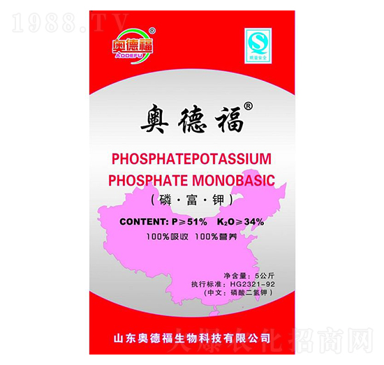 �׸��-�W�¸�