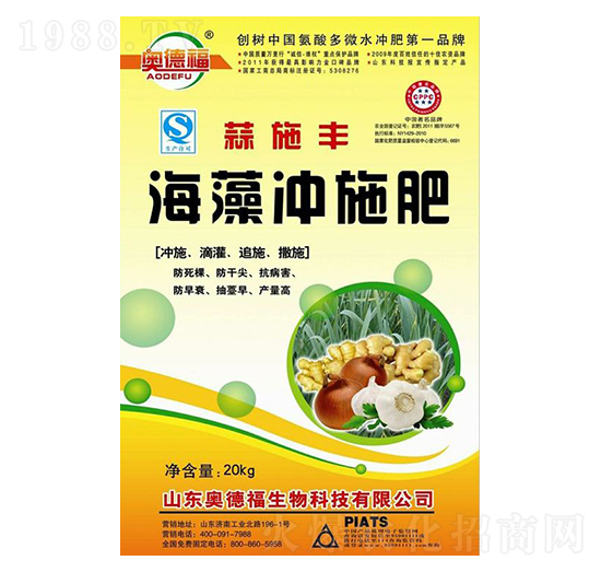 ����_ʩ��-��ʩ�S-�W�¸�