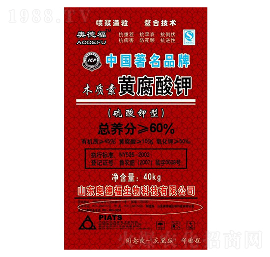 �S�����-�W�¸�