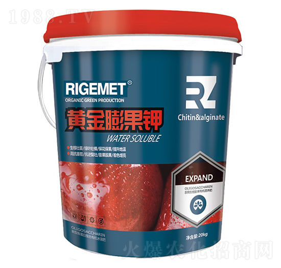 �S������-��ֲ-���w�~��