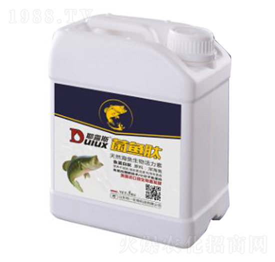 ���~��-Ү¶˹-�Qһ