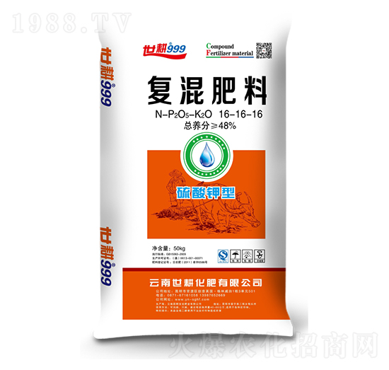 ������͏�(f��)�����16-16-16-����