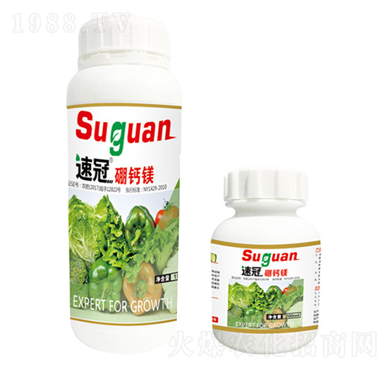 �ٹ����w���}�V-�r(n��ng)��