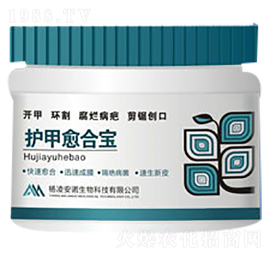 �o�����ό�-���Z����