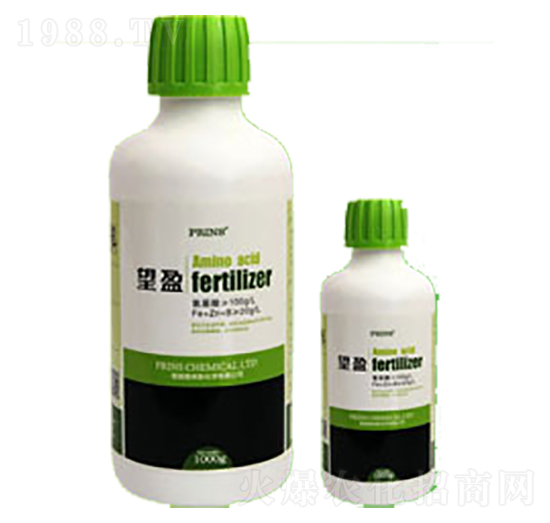 ��ӯ-Ӣ������˹