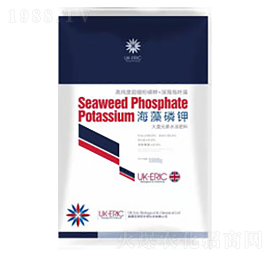 �������-Ӣ�������