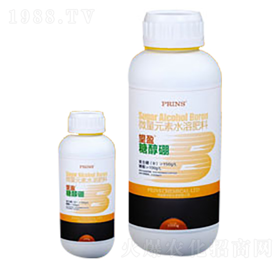 ��ӯ�Ǵ���-Ӣ��(gu��)����˹