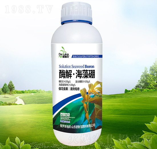 ø�⡤������-������