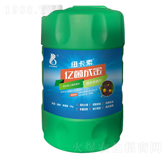 ΢���������ޏ̈́�-�|���ɽ�-���r(n��ng)�W��